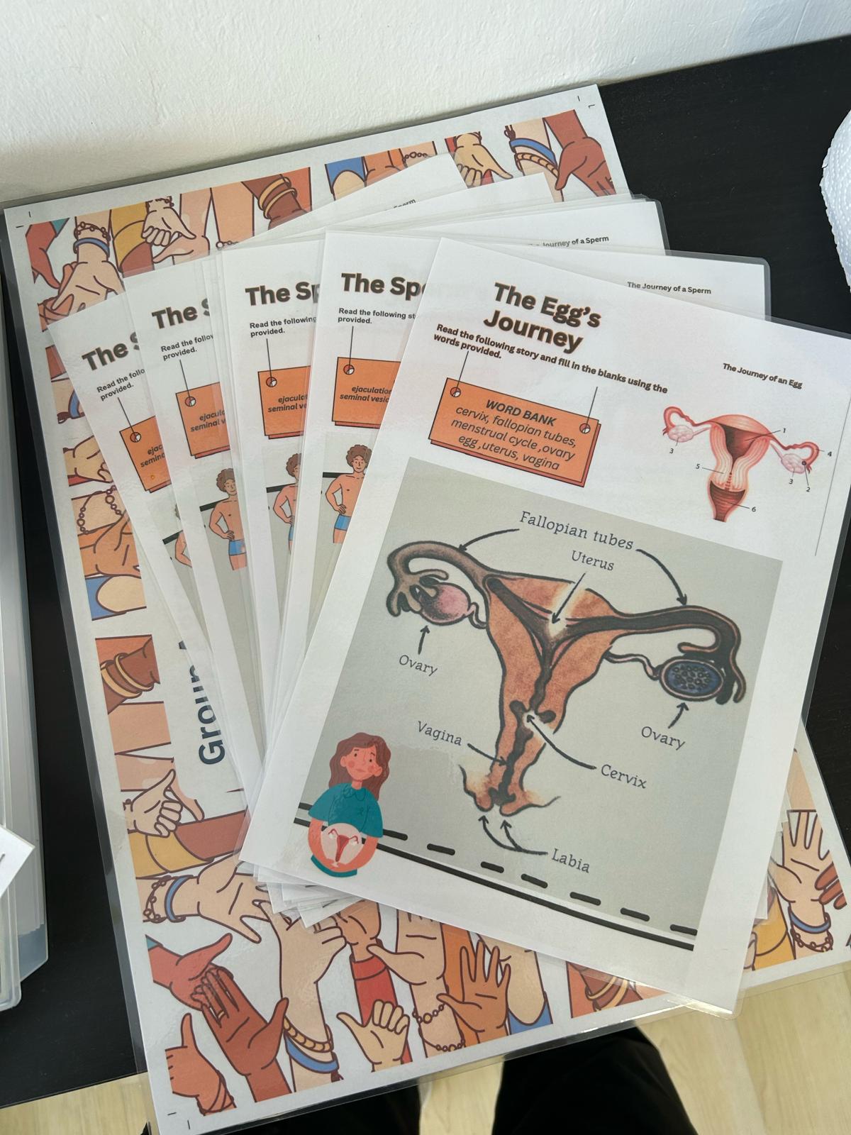 Workshop worksheets: the egg's journey